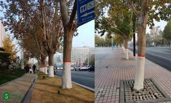 1612761209909353.png image.png