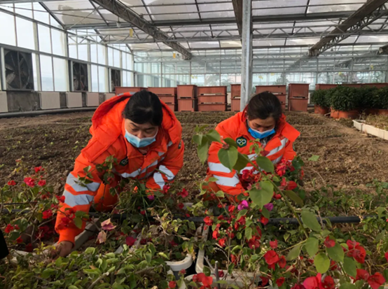 1612762481772839.png image.png