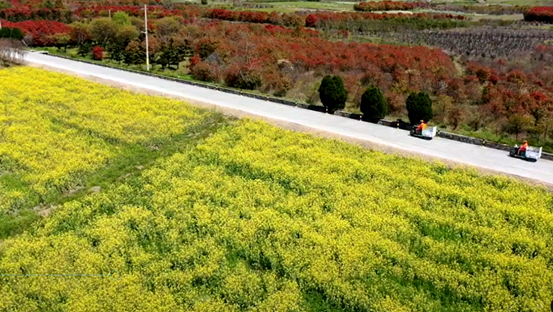 1617327540279558.png image.png