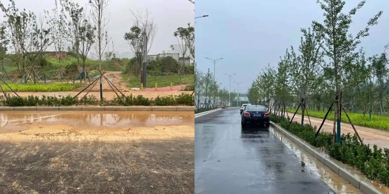 1627612841719632.jpg 1627612841719632.jpg