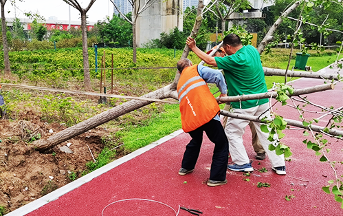 1627613417997483.png 1627613417997483.png